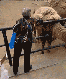 股票配资指南 未来100天或都有疯狂星期六？知名茶饮忙到闭店，三大外卖平台再起“战火”